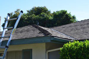 about roof inspection
