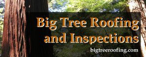 Big Tree Roofing