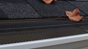Gutter screen pic